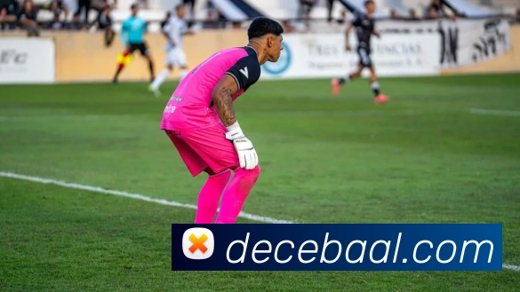 电竞直播专区